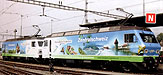 hag26032 copy.jpg